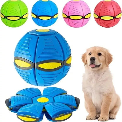 PELOTA DE FRISBEE DE PERRO ANTIANSIEDAD